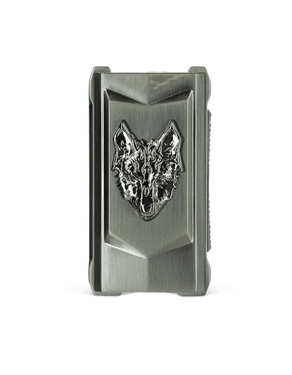 SnowWolf Mfeng 200W Mod