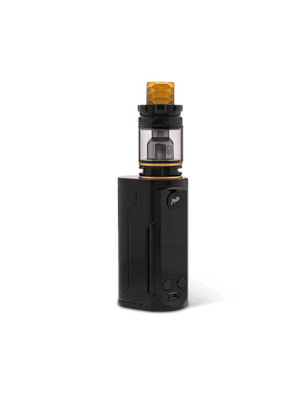 Wismec Reuleaux RXGEN3 Dual Kit